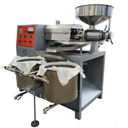 Small Business Oil Extraction: Cold Oil Press Machine for Copra, Peanut Oils