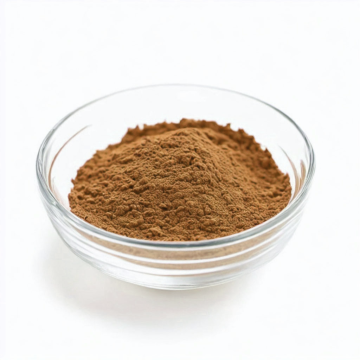 Mushrooms Extract of Chaga Mushroom Extract Powder