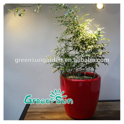 Home decoration plastic plant nursery pot,flower plant nursery,indoor plant nursery