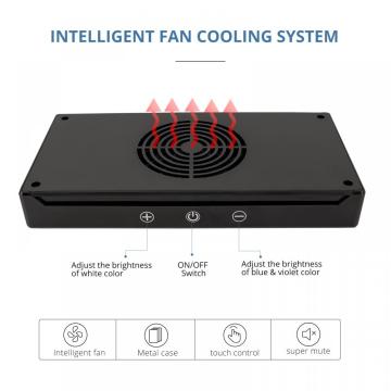 Luzes de crescimento LED plantada