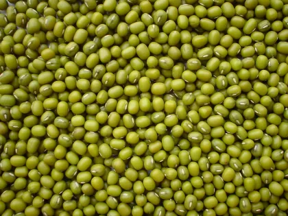 Mung Green Beans Non-GMO