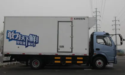 Refrigerated truck with carrier transicold freezer