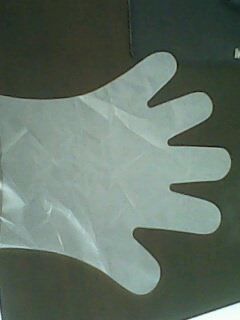 Disposable CPE Gloves