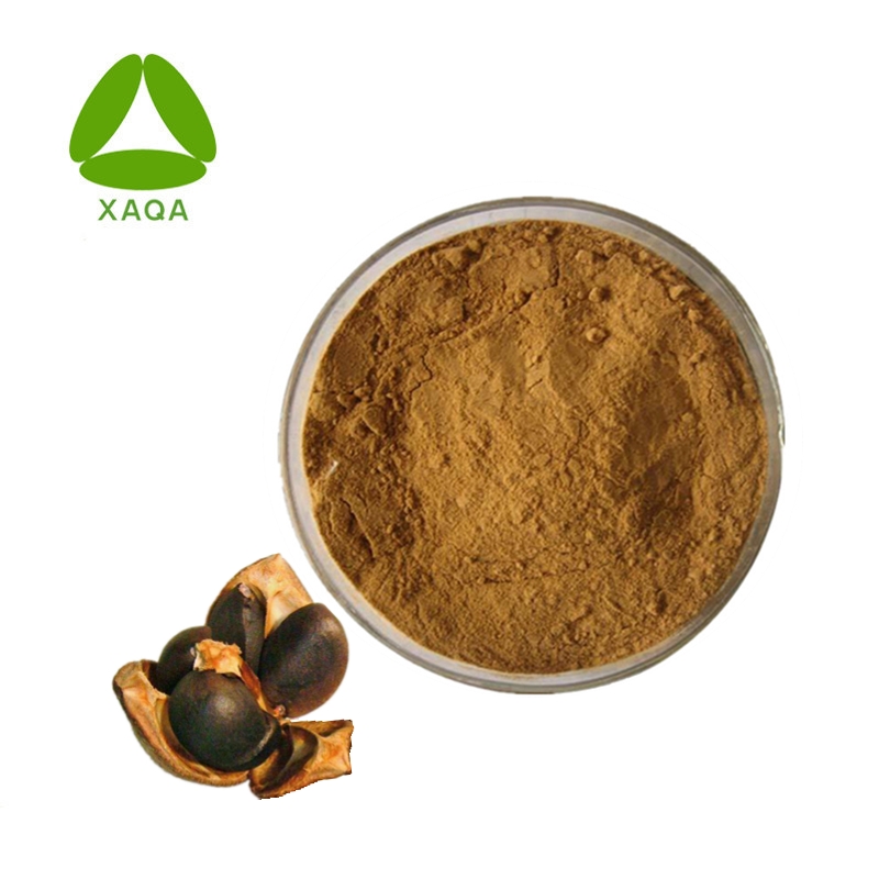 Tee-Baum-Samen-Extrakt-Tee Saponin 98% Pulver