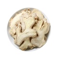 /msite/products/detail/productid/68317094/id/1580676.html