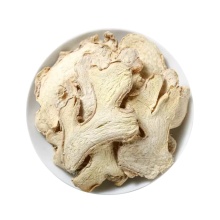 Premium Dried Ginger for External Application Zingiberis Rhizoma