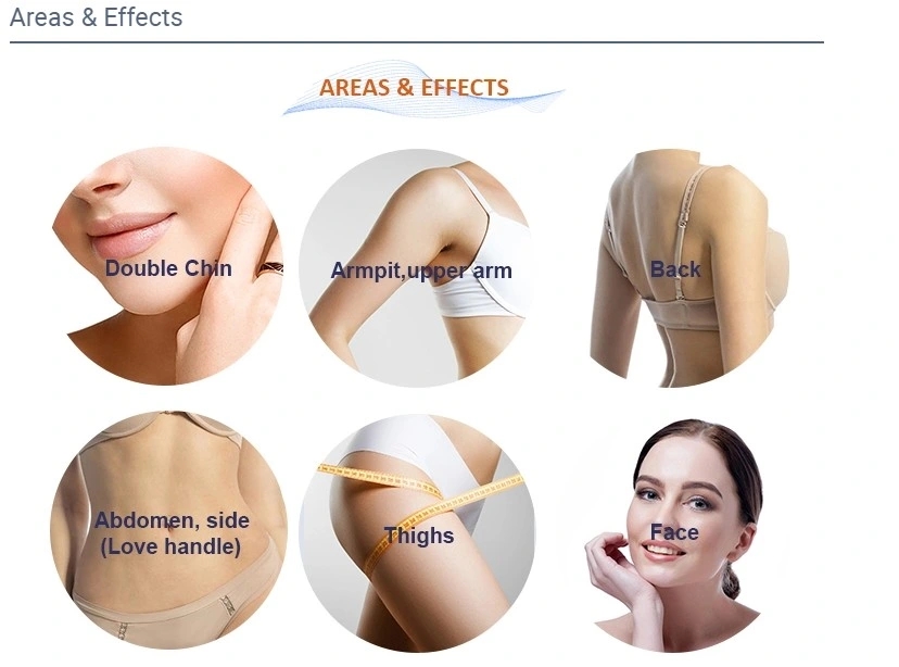 Korea-Lipo-Lab-Lipolab-Phosphatidylcholine-Ppc-Lipolysis-Injection.webp (7)