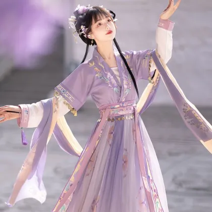 Chinese Traditional Hanfu: Female Tang Skirt with Embroidery