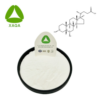 Hyodeoxycholic Acid Powder Cas No 83-49-8