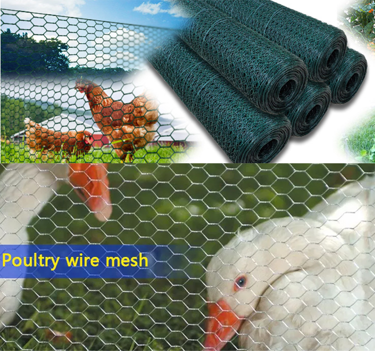 Hexagonal wire mesh