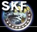 SKF bearing