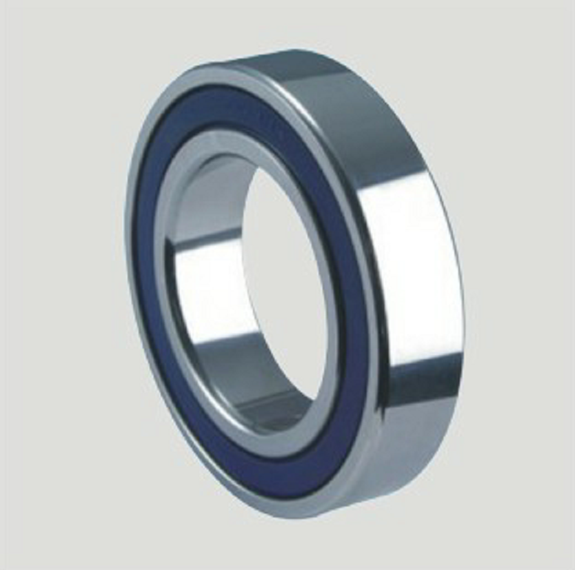 Deep Groove Ball Bearings SS6311