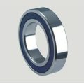 Deep Groove Ball Bearings SS6311