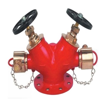 Factory Sale SN65 Double Outlet Fire Hydrant