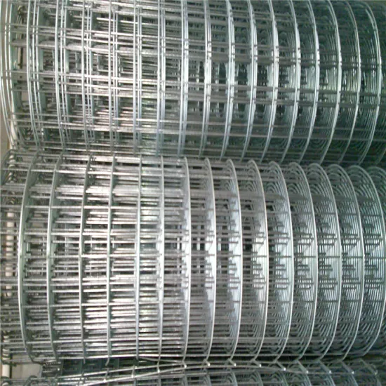 welded wire mesh fence panels in 12 gauge