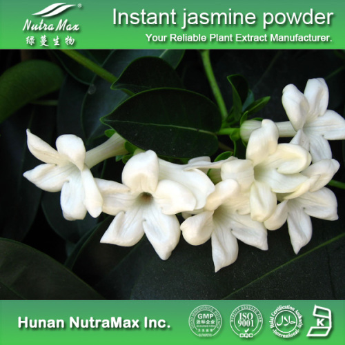 100% Natural Jasmine Powder (100% soluble in water)