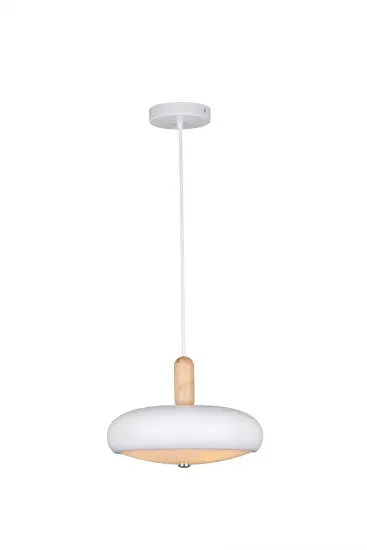 Modern Ceiling Lamp Cheap kid's room hanging light