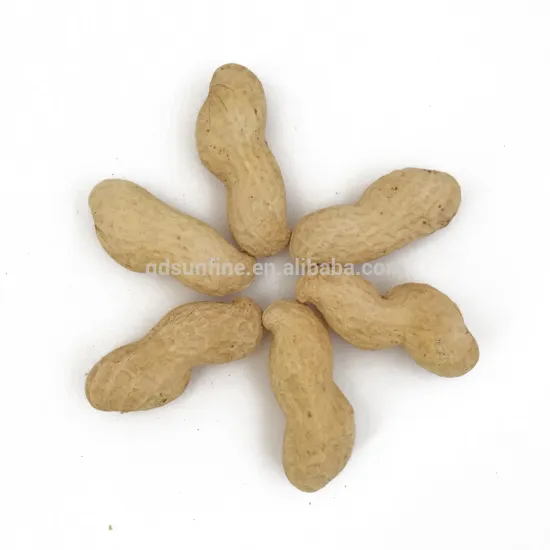 Top crop cheap red skin raw jumbo peanuts in shell for sale