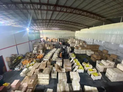 Liugong 907 Swing Motor Assembly JMF047 Rotary Reducer Gearbox - Eaton