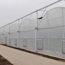 Multi Span Film Covering Greenhouse for Vegetables