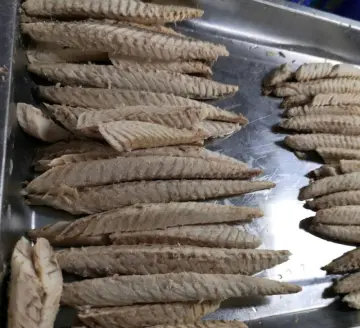 Precooked frozen Pacific mackerel  loin 1.5 clean