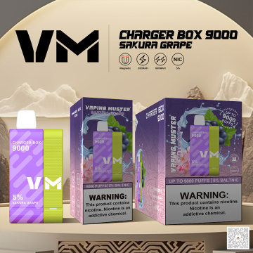 Charger Box Vape 9000 Puff