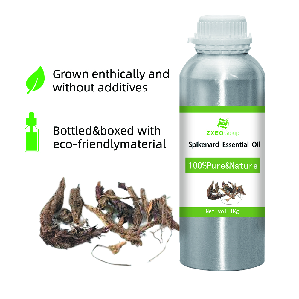 100% puro y orgánico Spikenard Oil esencial de alta calidad UES esencial al por mayor para la muestra de fragancia diaria de acridina