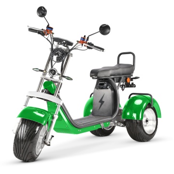 Η αποθήκη των ΗΠΑ/ΕΕ Hot Sale: Electric Tricycle με κλειστό σώμα - CityCoco EEC Compliant