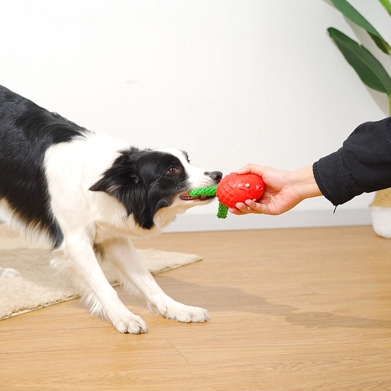 Interactive Dog Toy Fish