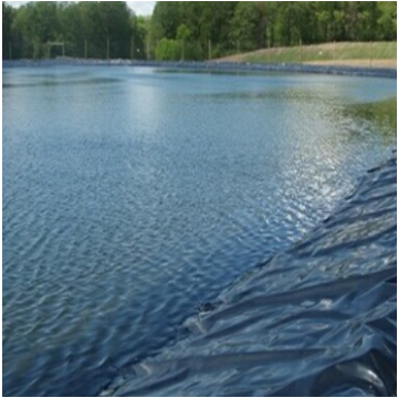 Doublure à piscine de crevettes à feuilles de crevettes à feuilles géomembranaires étanches HDPE