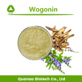 Extracto de raíz de Scutellaria Baicalensis Wogonin 98% en polvo