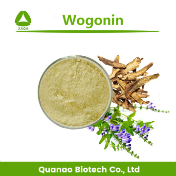 Scutellaria Baicalensis Root Extract Wogonin 98% Powder