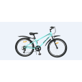 Tw-6520 pulgadas de hierro para niños MTB Montaña bicicleta de bicicleta