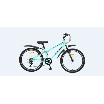 Tw-6520 inch Iron Kids MTB Mountain Bike Bicycle