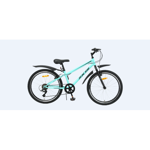 TW-6520 Inch IRON Kids MTB Mountain Bike Bicycle