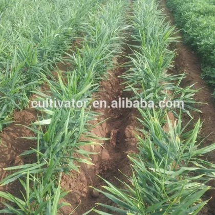 durable rotary ditcher small farm machinery in luke machinery