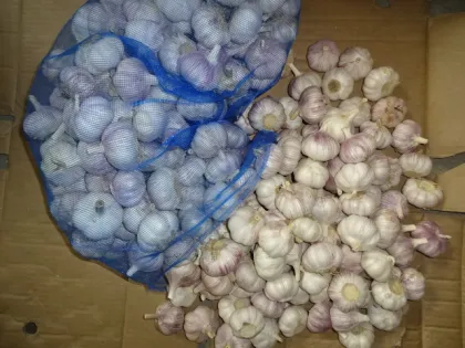 Fresh Garlic Loosing Packing