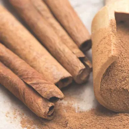 Wholesale Organic Ceylon & Cassia Stick Price Finder