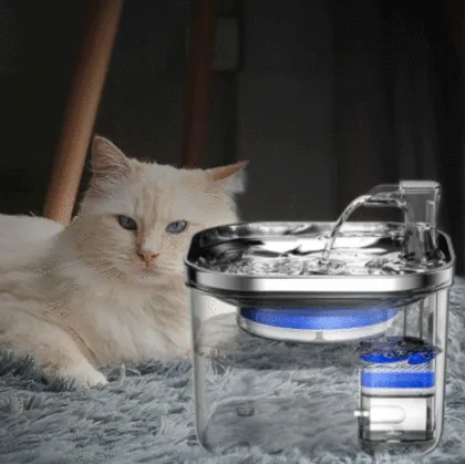 Eco-Friendly Smart Water Dispenser for Pets