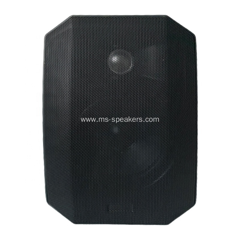 100W wall hanging speaker