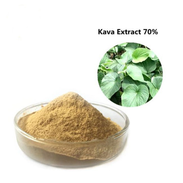 Buy online CAS84696-40-2 tablet kava root extract powder