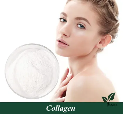 Collagen powder bulk wholesale