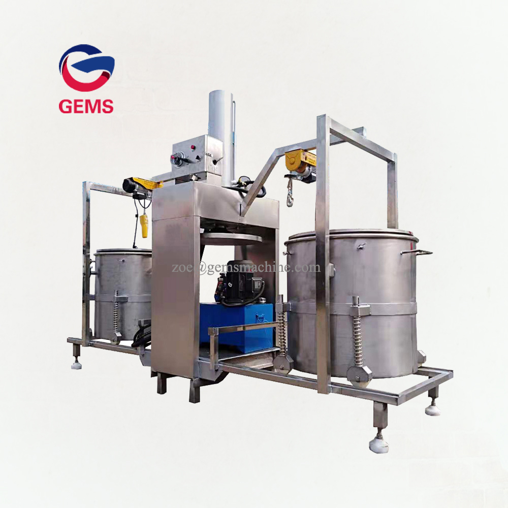 Mulberry Tomato Juice Press Coconut Milk Press Machine China Manufacturer