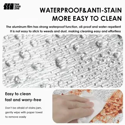 Camping Moisture Proof Mat: Waterproof Foam Foil Blanket for Thermal Insulation
