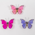 Butterfly craft design
