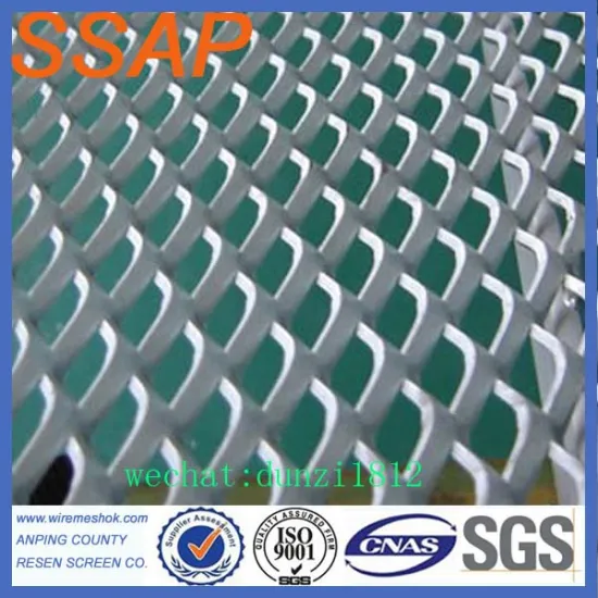 Covering screen for first class sound case Expanded Metal mesh