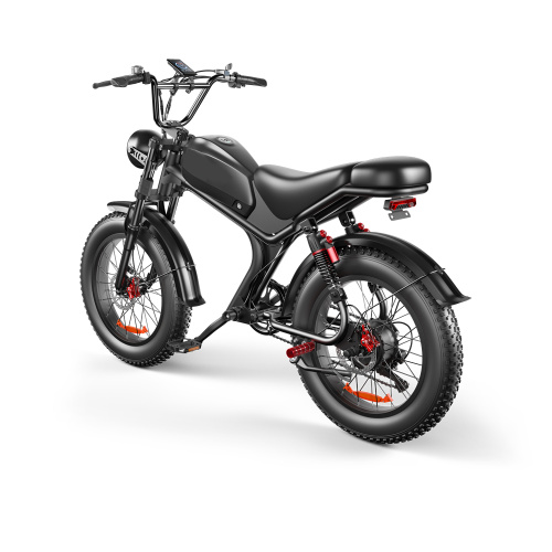 Fahrrad Elektrofahrrad Ebike Electric Fat Tire Bike