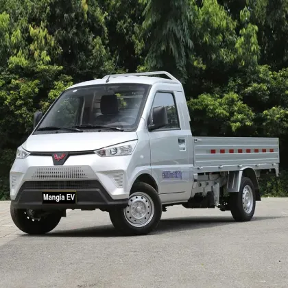 2023 New Wuling Electric Truck New Energy Electric Car