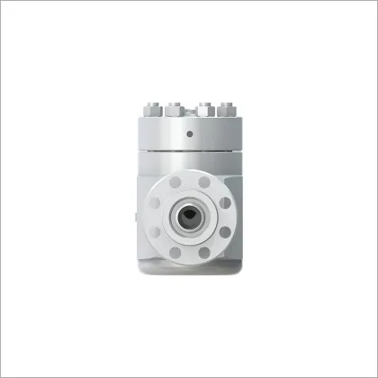 Lift Check Valve