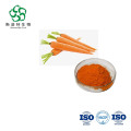 Estratto di carota fermentato al 10% cws beta carotene in polvere